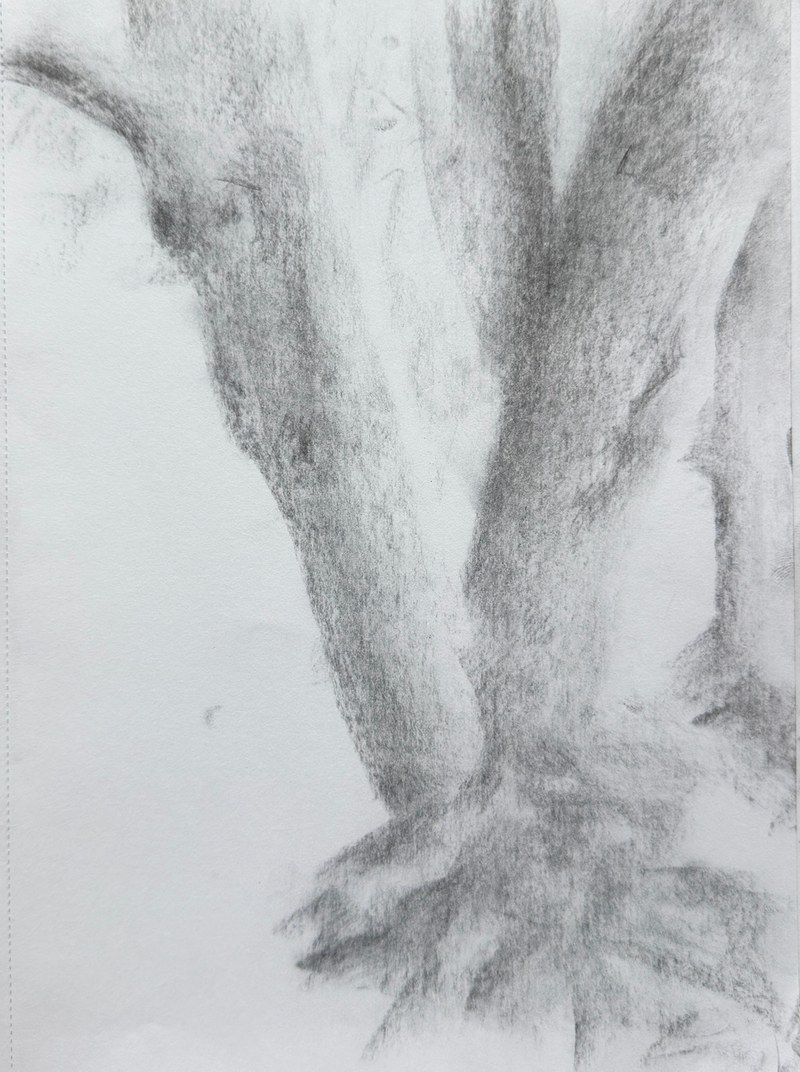 Untitled drawing by Brennen Ory