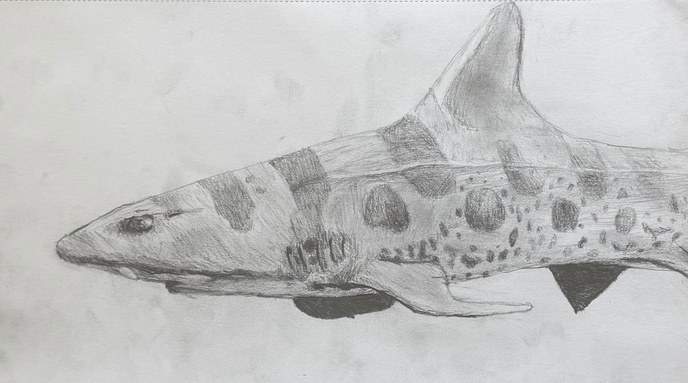 Untitled drawing by Brennen Ory