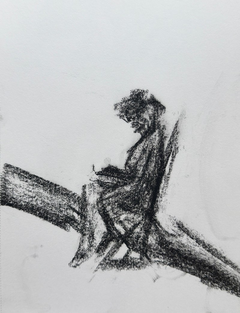 5 minute tree sketch using vine charcoal