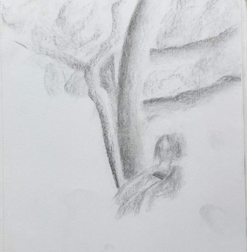 5 minute charcoal sketch of my view from a bench at a park